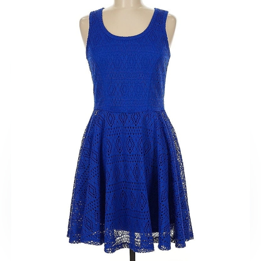 Express A-Line Blue Lace Skater Dress